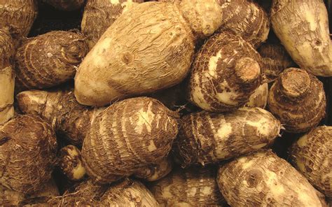 Cocoyam - Bekilo Farms