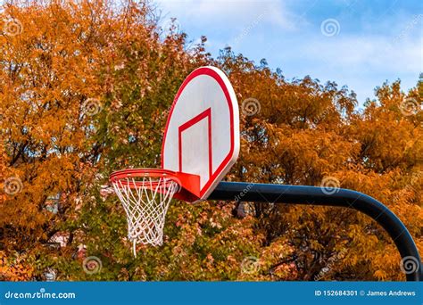 Basketball Hoop Side View with Autumn Colored Trees in the Background ...