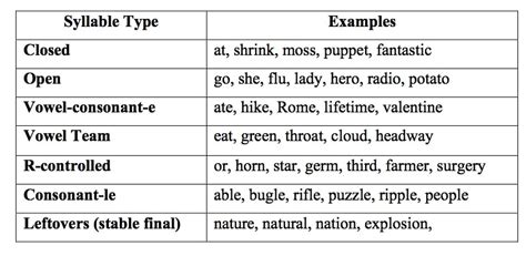 Seven Syllable Types for Spelling, Reading, and Writing - Mark Weakland Literacy