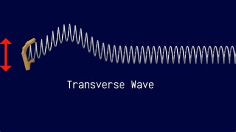 Examples Of Compression Waves