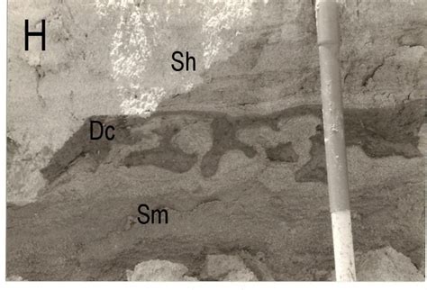 Quaternary Geology