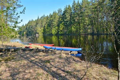 Premium Photo | Boats on the forest river