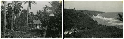 Niue Island, typical native house, August 1951; Niue Islan… | Flickr