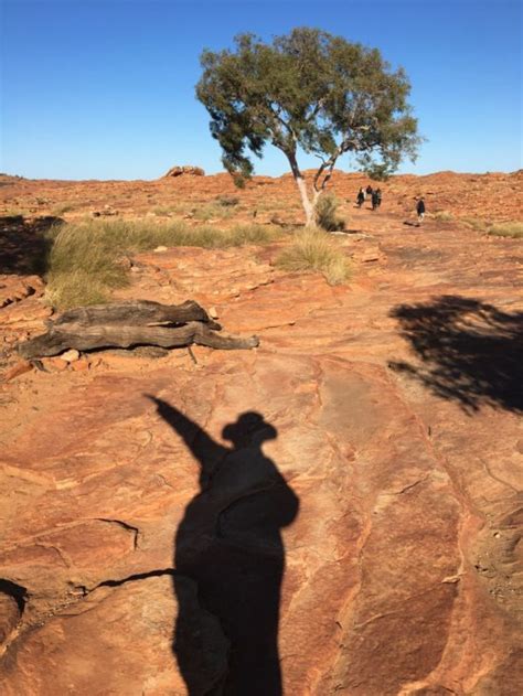 What Uluru Tours Are Really Like (And Vital Hiking Lessons) | Intrepid ...