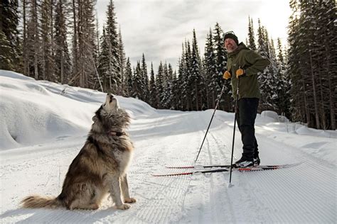 Explore Nordic Skiing | Sun Peaks Resort