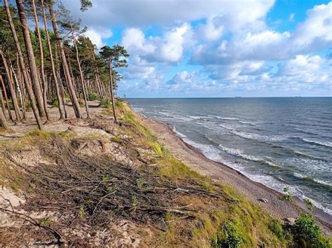 Premium Photo | Baltic sea coastline