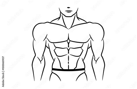 Perfect abdominal muscles is six pack of bodybuilder. This illustration in linear style on ...