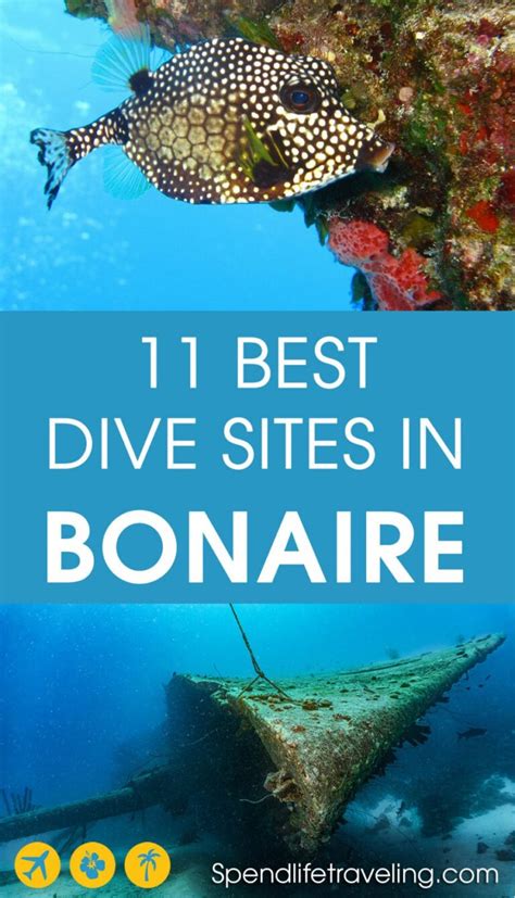 11 Of The Best Dive Sites in Bonaire - Caribbean