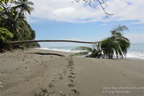 Costa Rica's Best Beaches are on the Osa Peninsula | Stay Adventurous | Mindset for Travel Blog