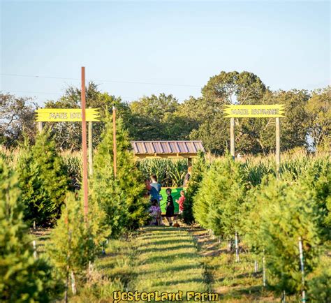 Yesterland Farm | Family Farms In Texas | Canton Texas Farm Events