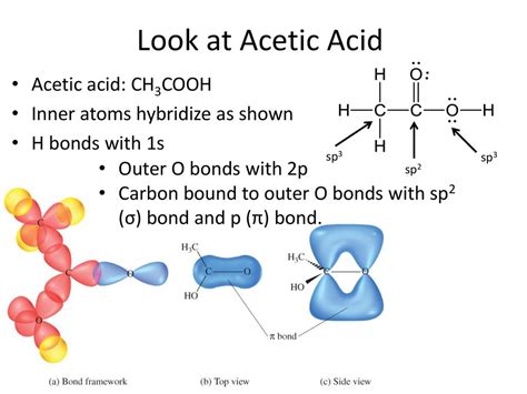 Ch3cooh Hybridization