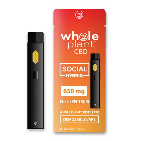 Hybrid Disposable Vape Pen SOCIAL Bulk - Organic Plus Brands - Licensed ...