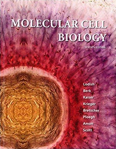 Molecular Cell Biology 7th Edition - Get Cheap & Free Textbooks