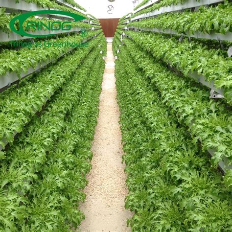 A-frame vertical lettuce hydroponics facility greenhouse for sale - China grow bag hydroponic ...