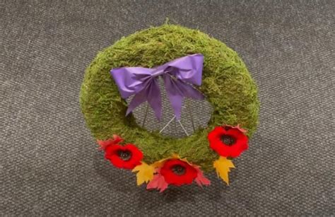 This year's Remembrance Day poppies are biodegradable for the 1st time ...