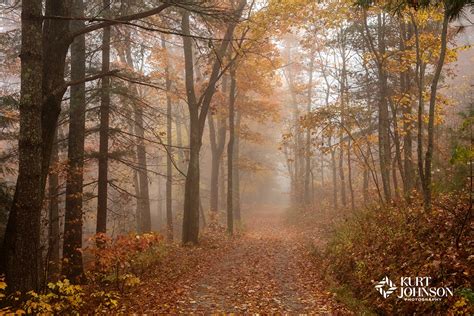 Georgia Nature Photography: Stills from a Foggy Autumn Forest - Kurt ...