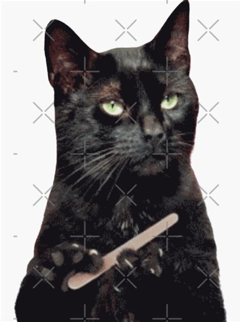 "black cat filing claws meme" Sticker for Sale by artsypatterns | Redbubble