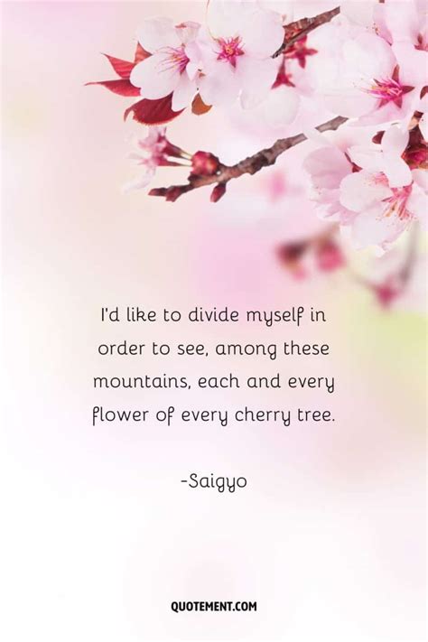 80 Best Cherry Blossom Quotes To Celebrate Perpetual Beauty