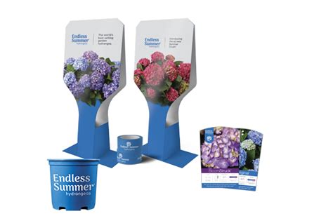 About Endless Summer Hydrangeas From Bailey Nurseries