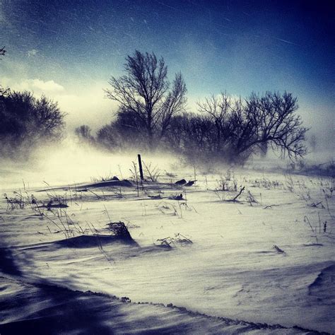 Wind Blowing Snow Across A Field Photograph by Danielle Donders