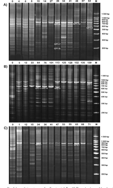 Figure 1 from Volatile fatty acids influence on the structure of ...