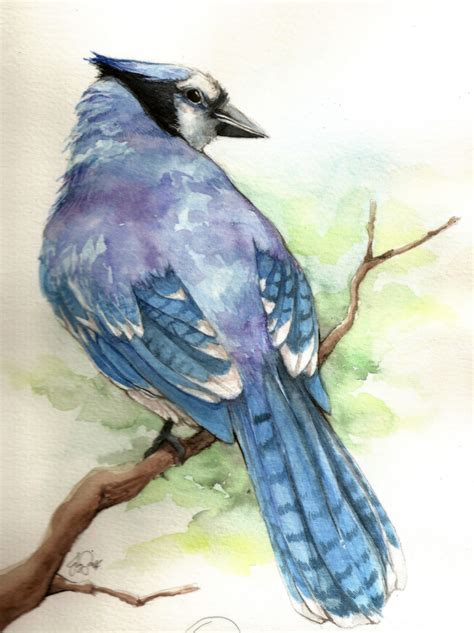 Watercolor Birds Tutorial at PaintingValley.com | Explore collection of Watercolor Birds Tutorial