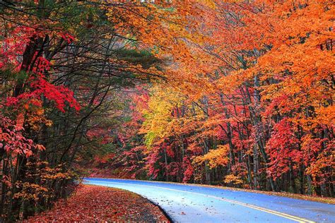 Blue Ridge Parkway Fall Photograph by Carol Montoya - Fine Art America