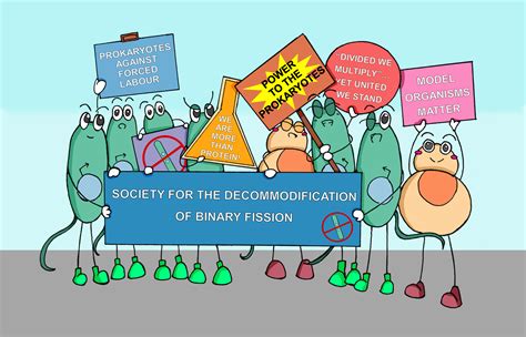 Biochemistry Cartoon Series: Bacteria and their eukaryotic buddies ...