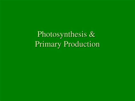 PPT - Photosynthesis & Primary Production PowerPoint Presentation - ID:2944307