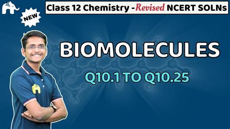 Biomolecules Class 12 Chemistry | Revised NCERT Solutions | Chapter 10 Questions 1-25 - YouTube