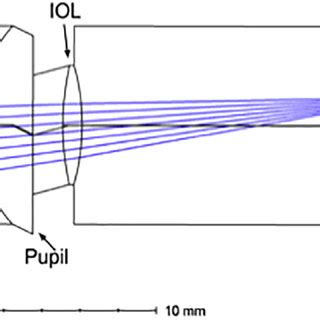 Pseudophakic eye modelled according to the Liou and Brennan eye model... | Download Scientific ...