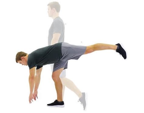 Rehab Exercises For Knee Cartilage Damage - Infoupdate.org