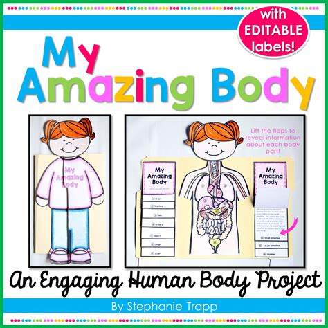 Human Body Project for Kids - Primary Theme Park