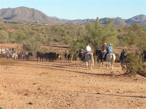 Horseback Adventures