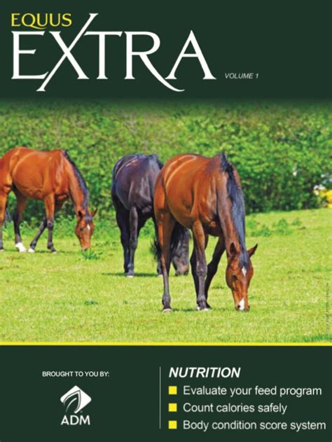 FREE Horse Nutrition Guide | Horse nutrition, Free horses, Horses