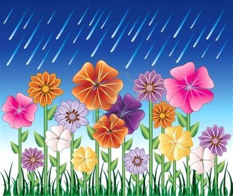 Rain makes the flowers grow | Flower garden, Spring day, Flowers