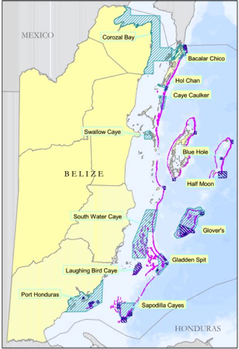 The Belize Barrier Reef System!