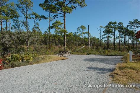 Grayton Beach State Park - Campsite Photos, Campsite Availability Alerts | Grayton beach state ...