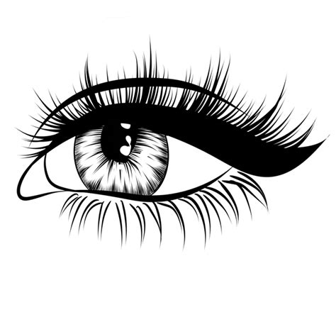 Lashes PNG Transparent Images, Eyelashes Clipart Download - Free ...