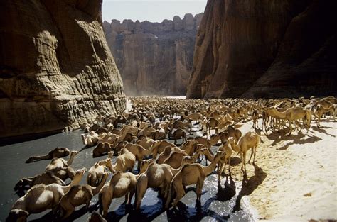 Ennedi - Anderson Expeditions