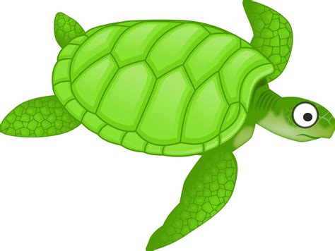 Free Turtle Png Clipart, Download Free Turtle Png Clipart png images, Free ClipArts on Clipart ...