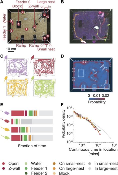 High-order social interactions in groups of mice | eLife