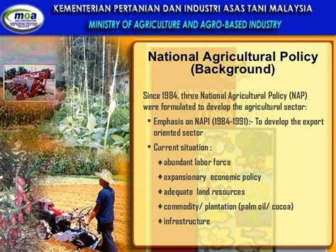 Overview Of Agriculture Sector In Malaysia