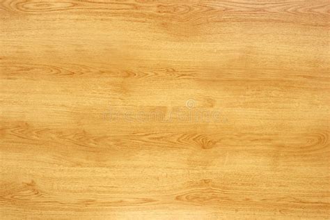 Oak (wood texture) stock image. Image of backdrop, nature - 8109341