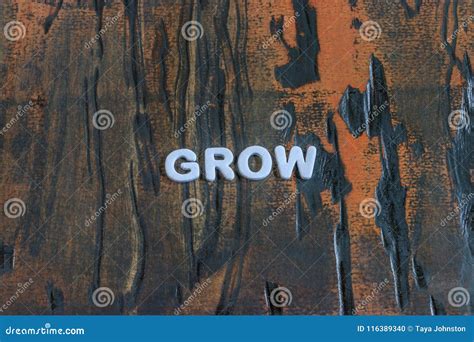 The Word Grow Written in White Block Letters Stock Photo - Image of grow, design: 116389340