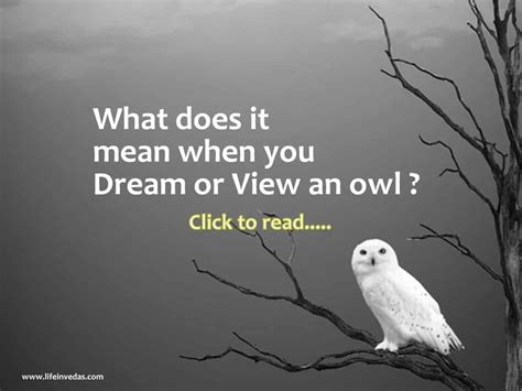 snowy owl symbolism Archives - lifeinvedas