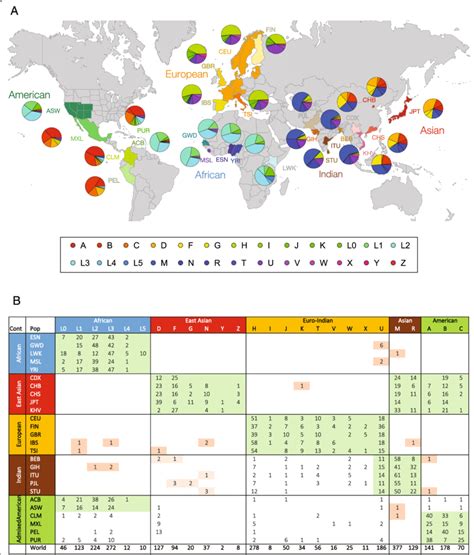 Global distribution of mtDNA haplogroups. a Map showing the names and... | Download Scientific ...