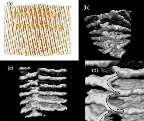 Nuclear pasta may offer insight into strange world of neutron stars