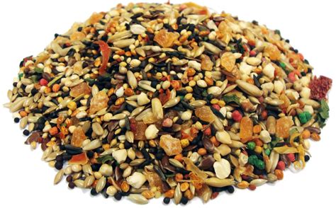 1.5 lb. Tropical Carnival® Canary & Finch Food - Brown's