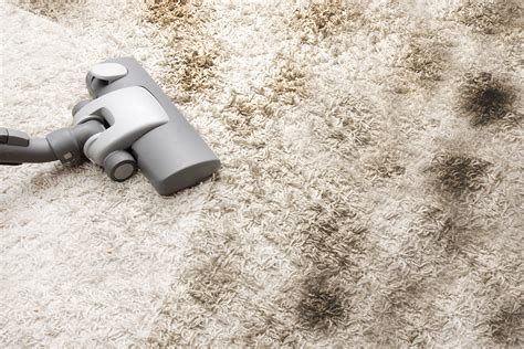 Carpet Cleaning Methods – How to properly clean your carpet - Cottier Carpets